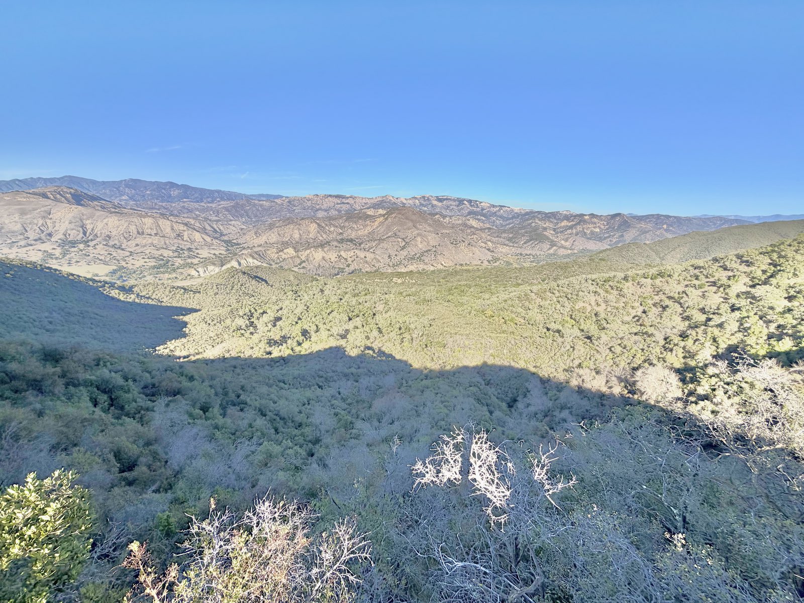 The valley looking toward the Santa Barbara mountains